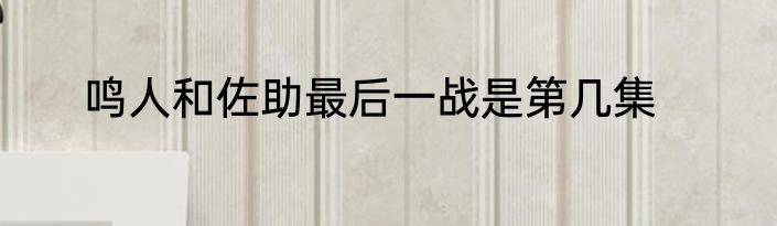 鸣人和佐助最后一战是第几集
