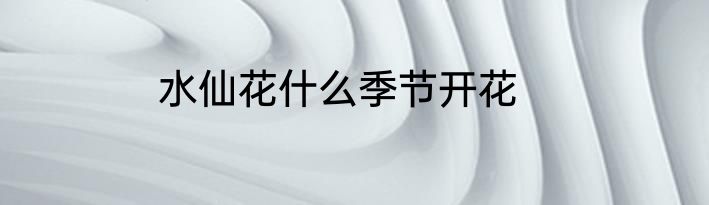 水仙花什么季节开花
