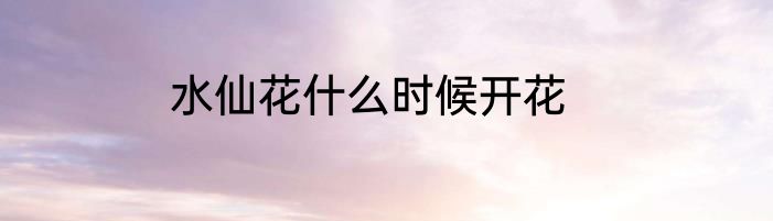 水仙花什么时候开花