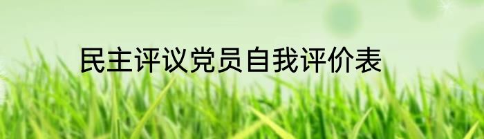 民主评议党员自我评价表