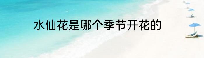 水仙花是哪个季节开花的
