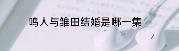 鸣人与雏田结婚是哪一集