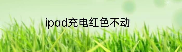 ipad充电红色不动