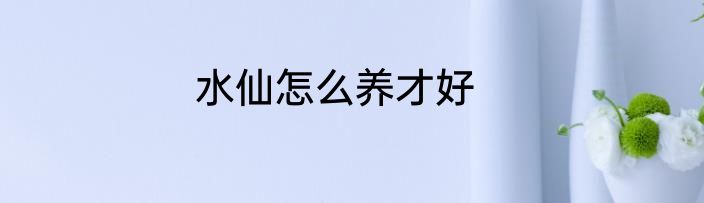 水仙怎么养才好