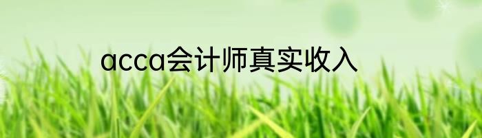 acca会计师真实收入