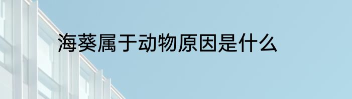 海葵属于动物原因是什么