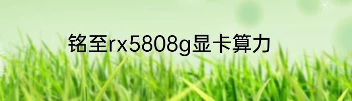 铭至rx5808g显卡算力