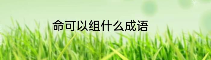 命可以组什么成语