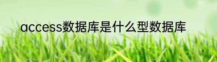 access数据库是什么型数据库