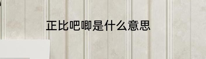正比吧唧是什么意思