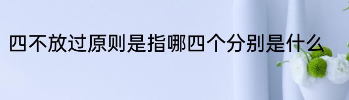 四不放过原则是指哪四个分别是什么