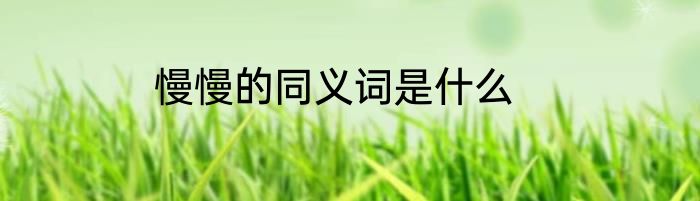 慢慢的同义词是什么