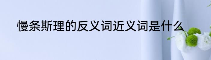 慢条斯理的反义词近义词是什么