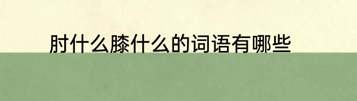 肘什么膝什么的词语有哪些