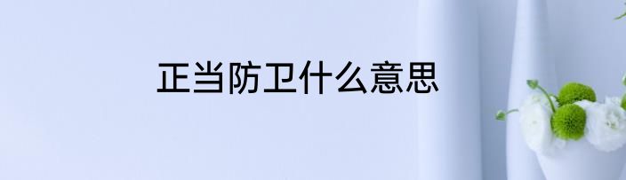 正当防卫什么意思