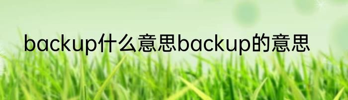 backup什么意思backup的意思