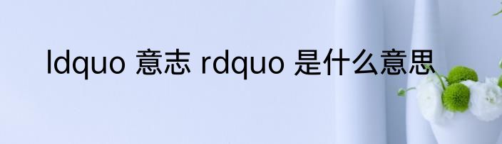 ldquo 意志 rdquo 是什么意思