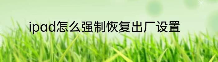 ipad怎么强制恢复出厂设置