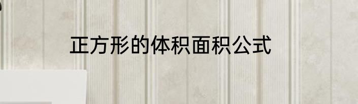 正方形的体积面积公式