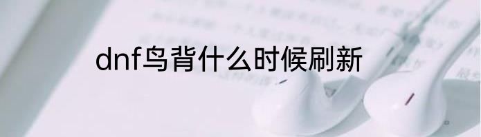 dnf鸟背什么时候刷新