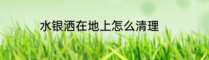 水银洒在地上怎么清理