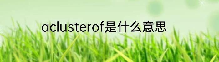 aclusterof是什么意思