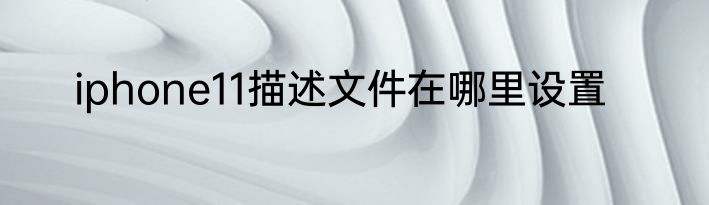 iphone11描述文件在哪里设置