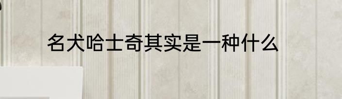 名犬哈士奇其实是一种什么