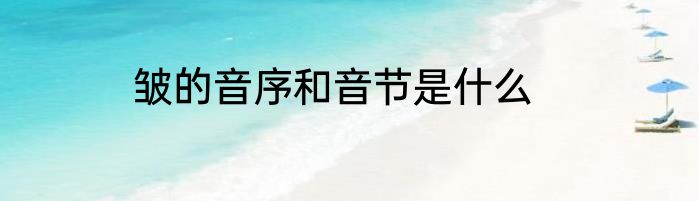 皱的音序和音节是什么