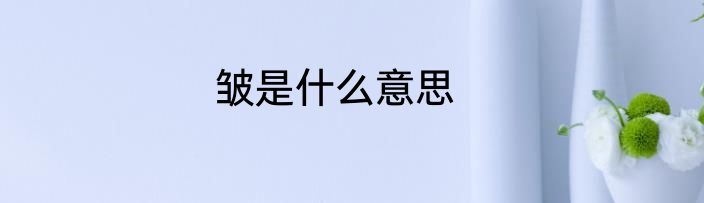 皱是什么意思