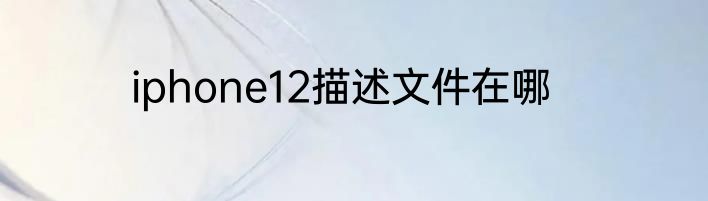iphone12描述文件在哪