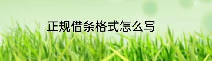 正规借条格式怎么写