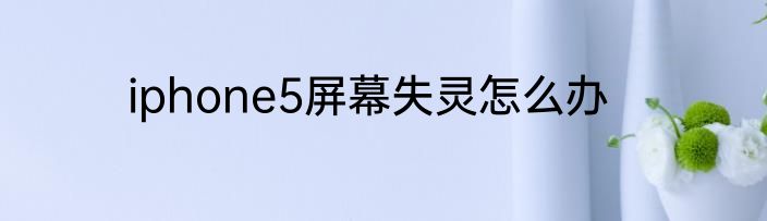 iphone5屏幕失灵怎么办