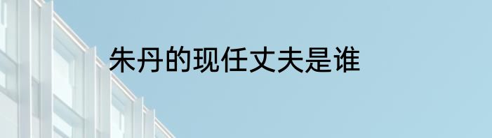 朱丹的现任丈夫是谁