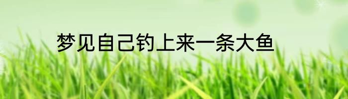 梦见自己钓上来一条大鱼