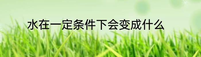 水在一定条件下会变成什么