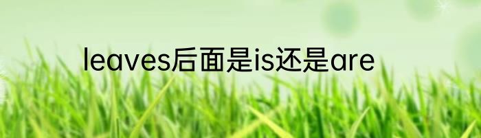 leaves后面是is还是are