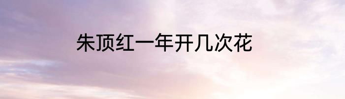 朱顶红一年开几次花