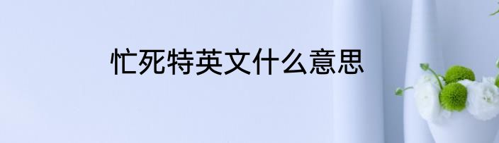 忙死特英文什么意思