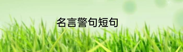 名言警句短句