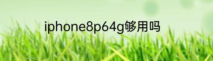iphone8p64g够用吗