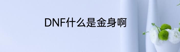 DNF什么是金身啊