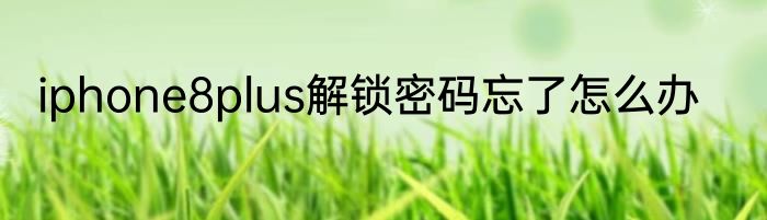 iphone8plus解锁密码忘了怎么办