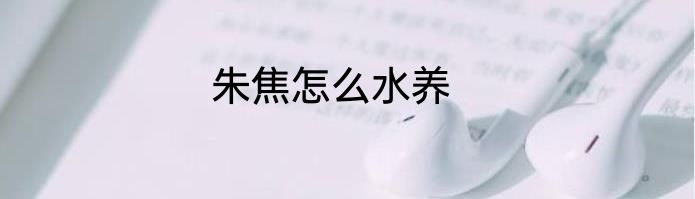 朱焦怎么水养