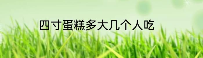 四寸蛋糕多大几个人吃