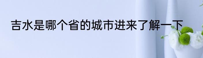 吉水是哪个省的城市进来了解一下