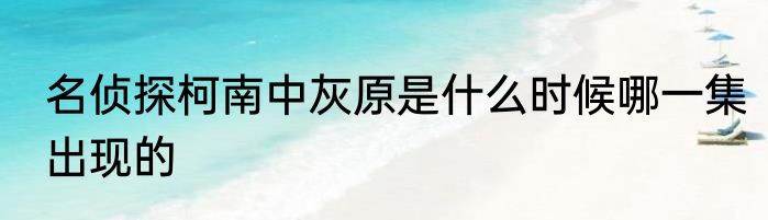 名侦探柯南中灰原是什么时候哪一集出现的