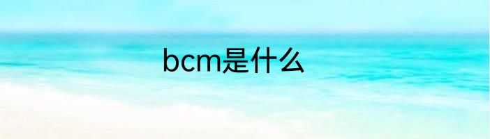 bcm是什么