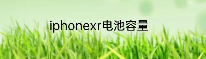 iphonexr电池容量