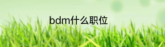bdm什么职位